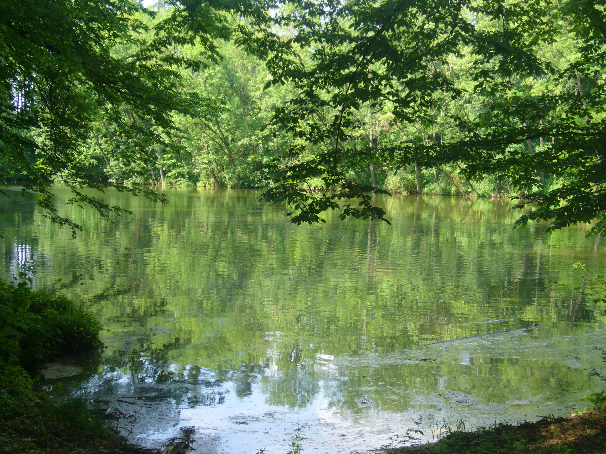 Rybník 3